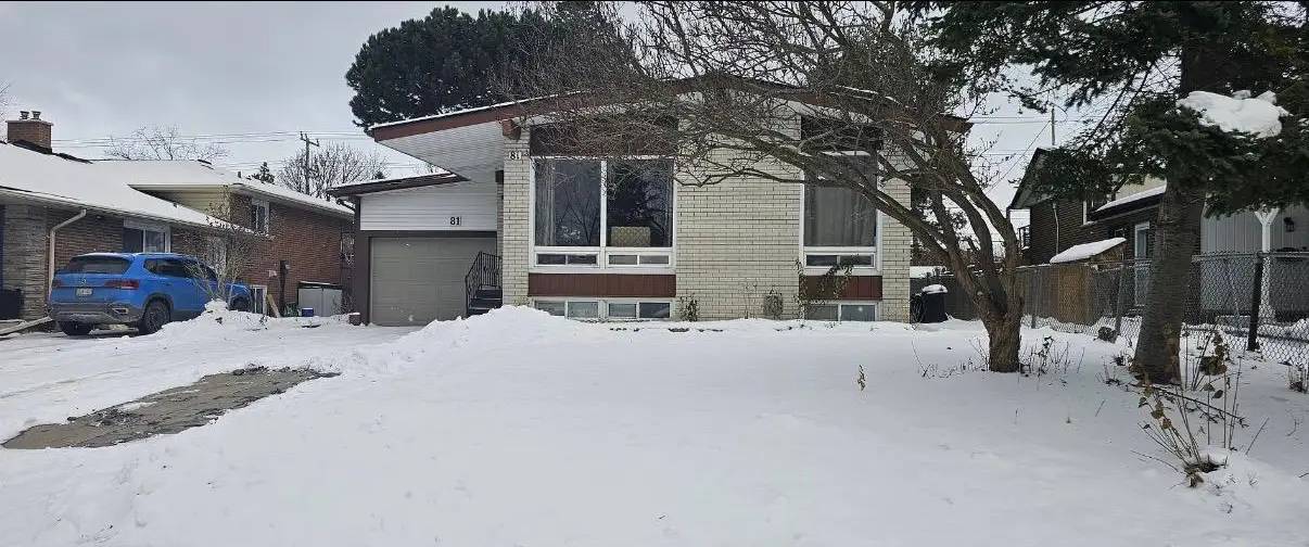 81 Secord Avenue, Kitchener Ontario